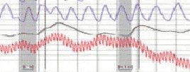 Glendora lie detector polygraph